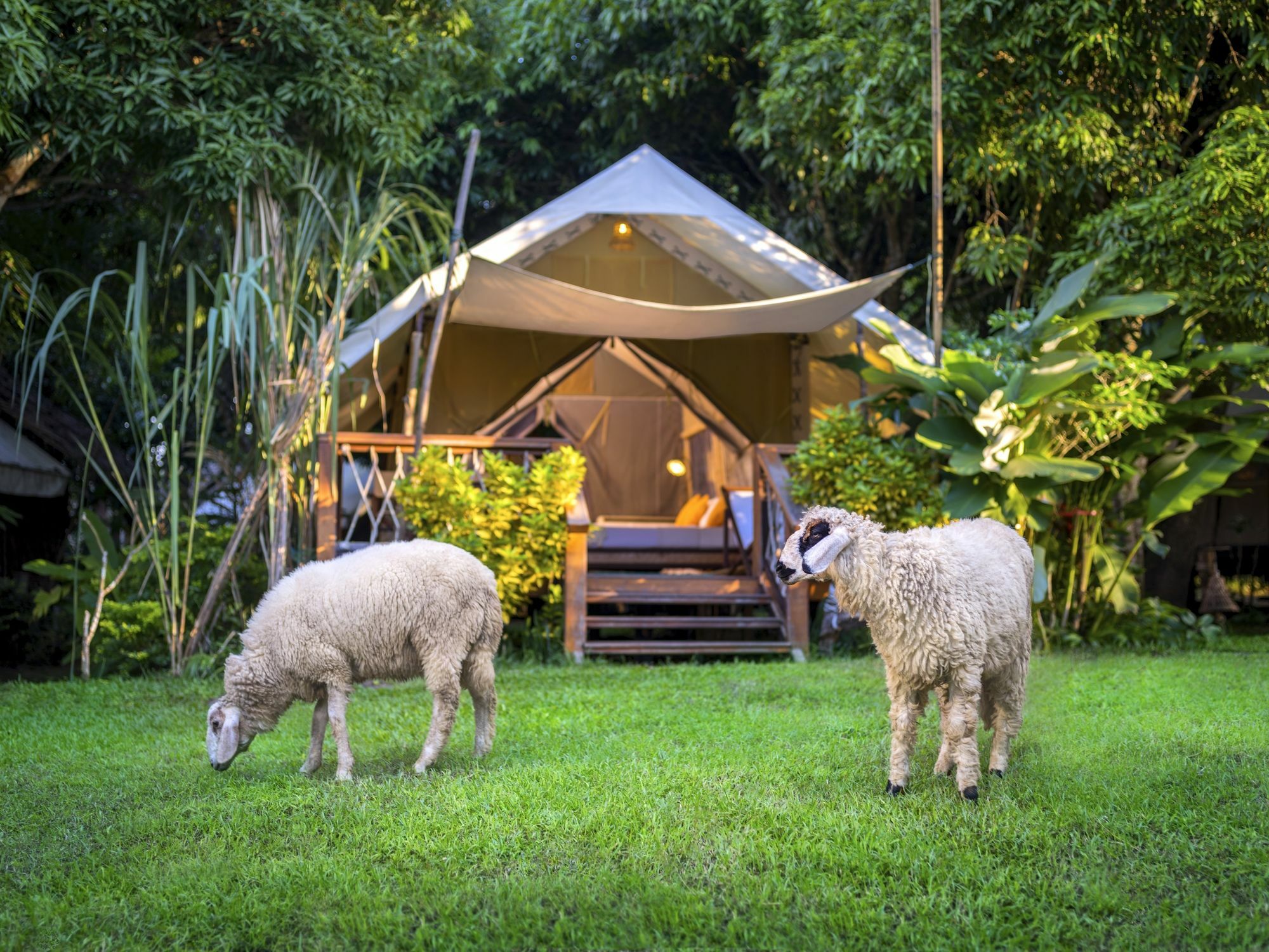Hintok River Camp Ban Huai Maenam Noi Екстериор снимка