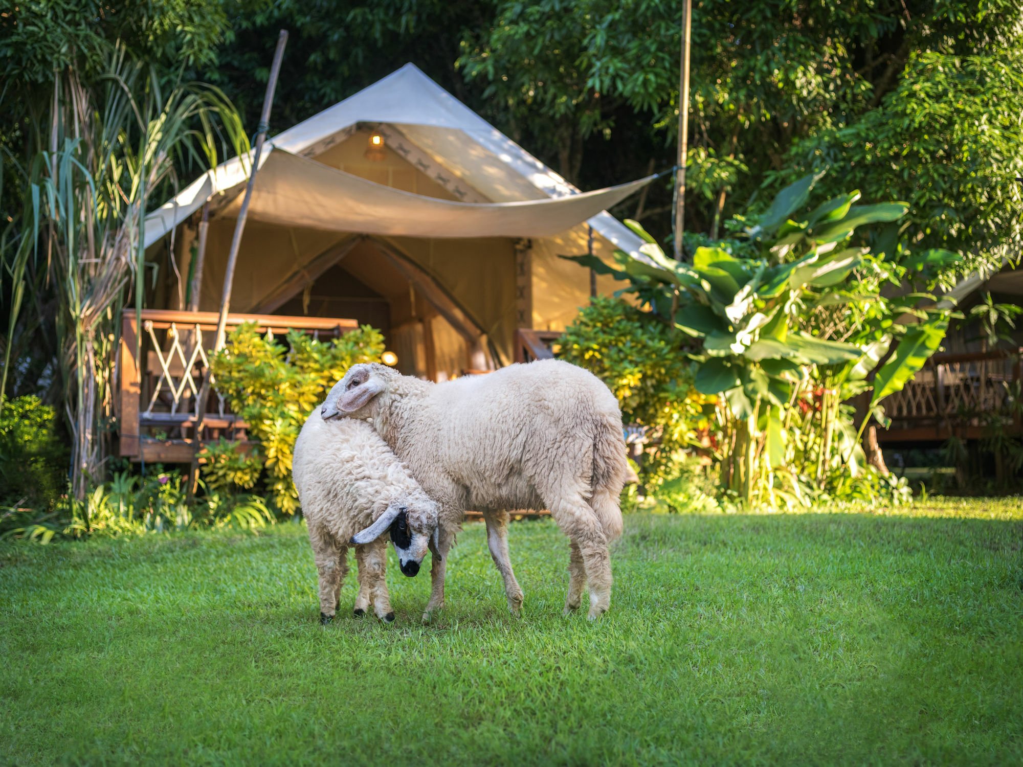 Hintok River Camp Ban Huai Maenam Noi Екстериор снимка